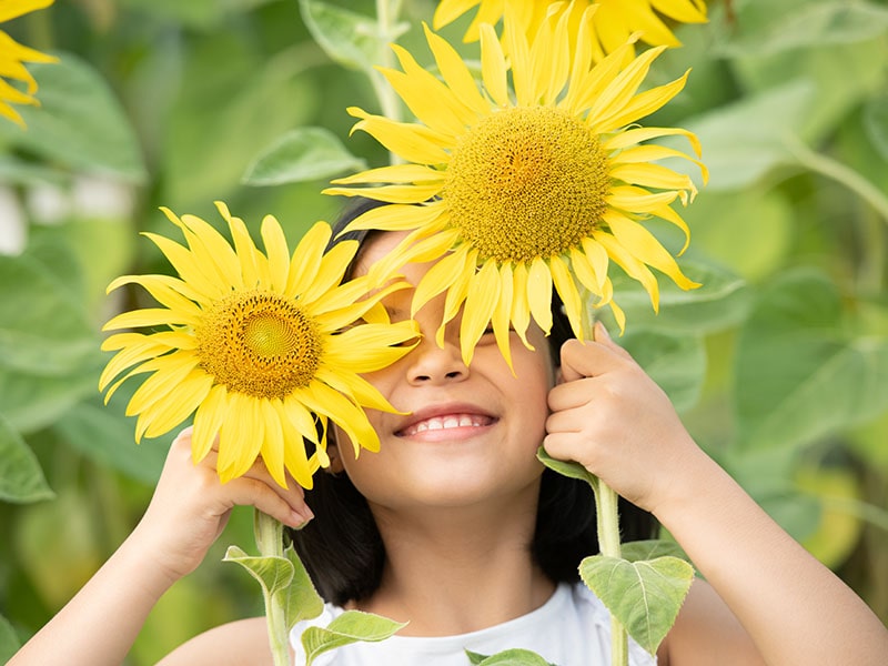 Featured image for “Cómo es Nuestra Naturaleza”