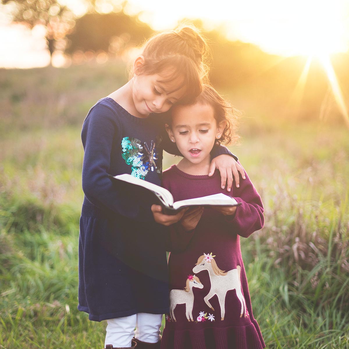 Pensamiento matemático