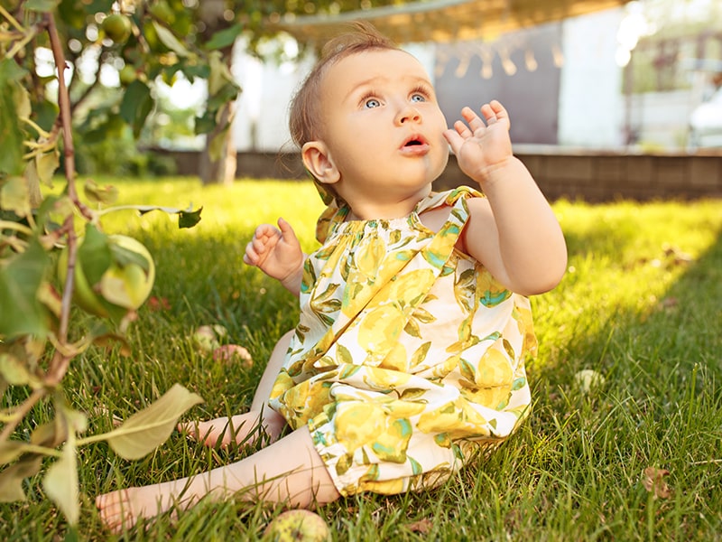 Featured image for “Descubramos la Tierra”