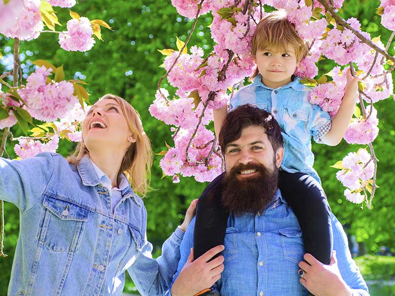 Featured image for “Vamos de paseo”