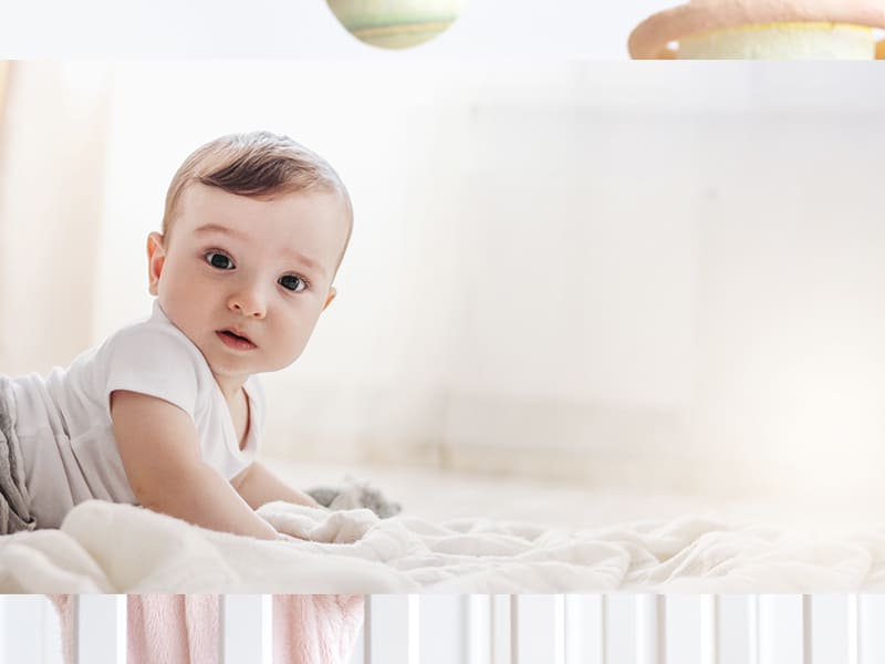 Featured image for “Yo conozco a ese animal”