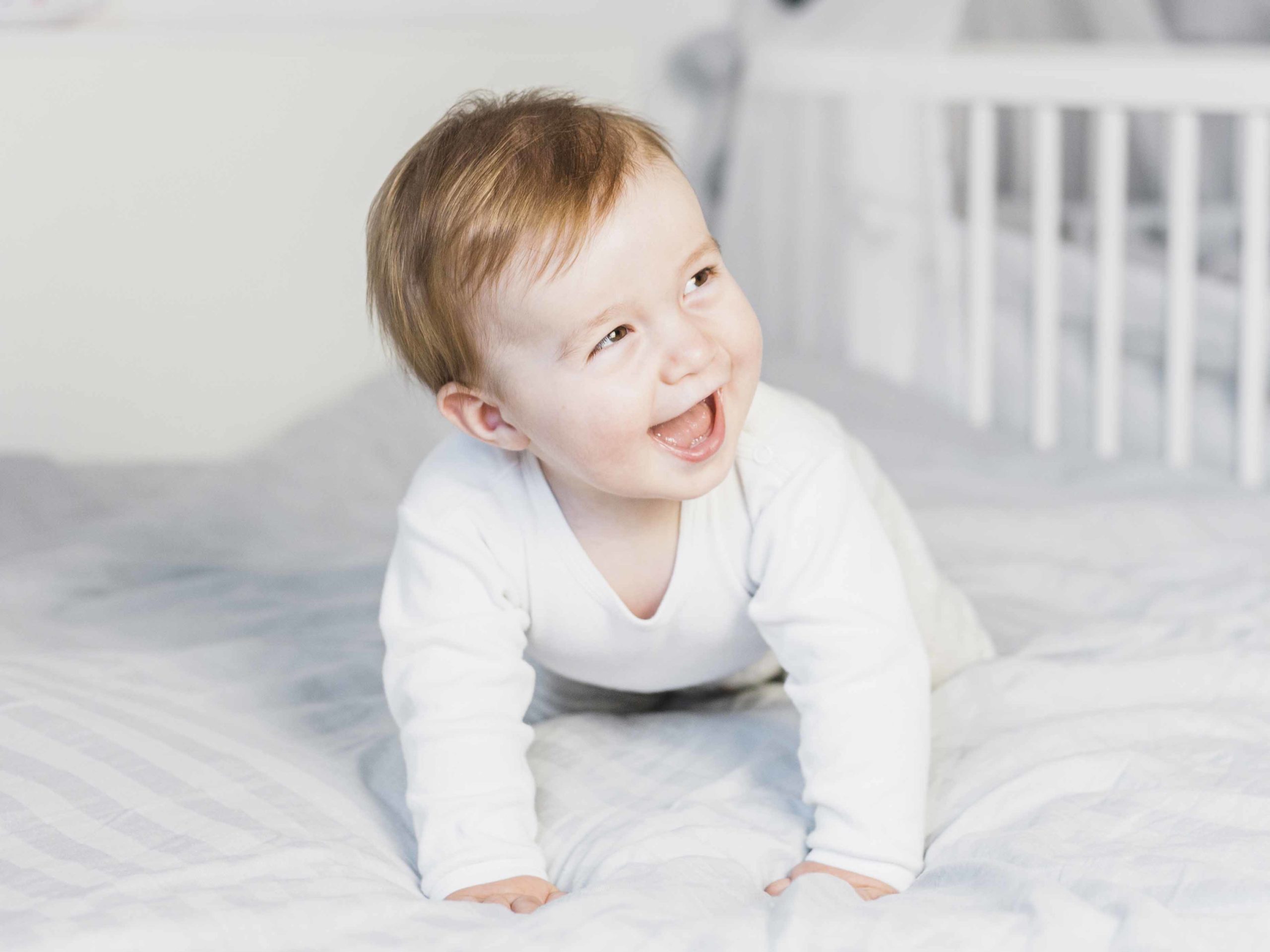 Featured image for “Simón Dice…”