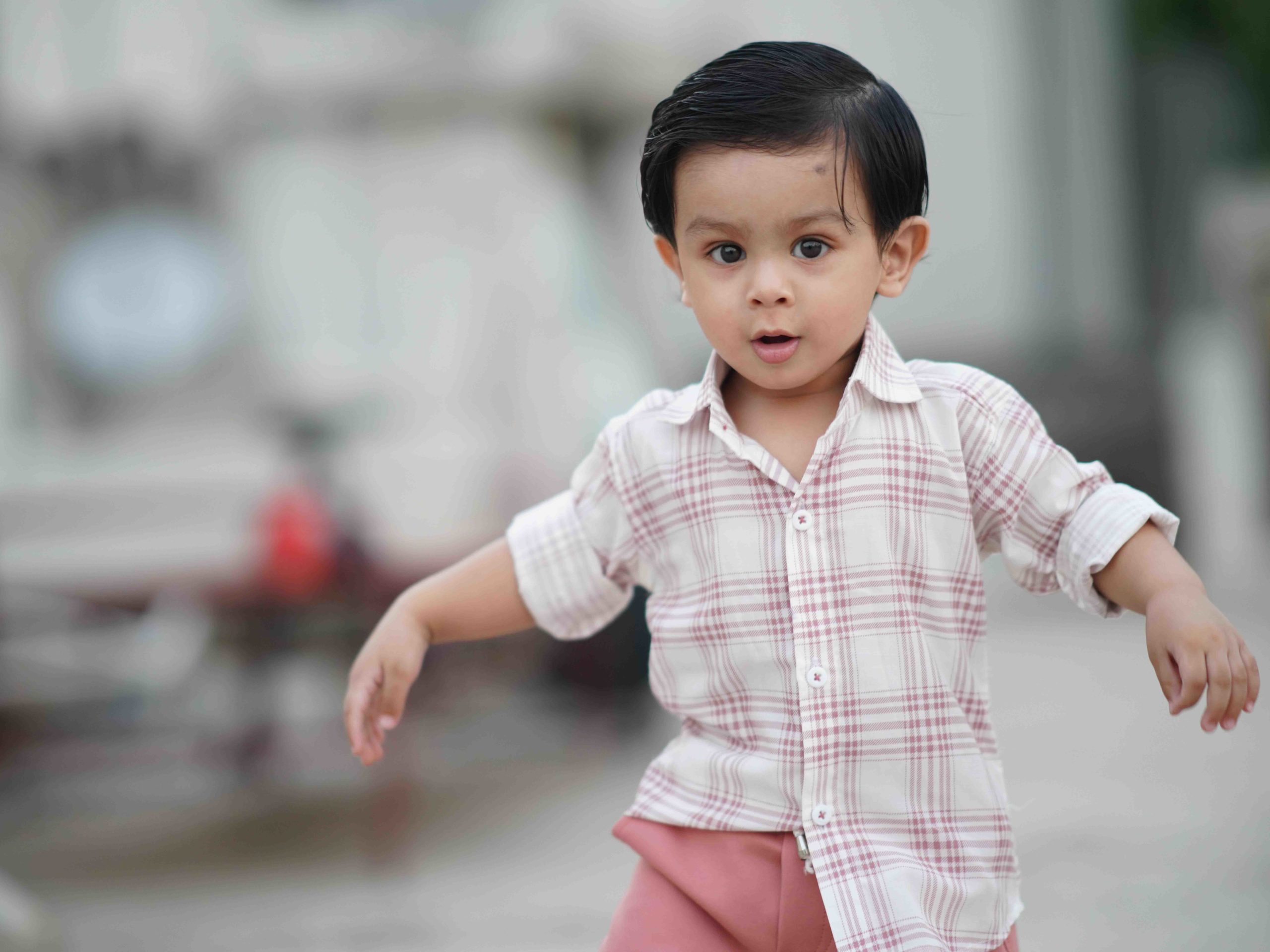 Featured image for “Un terrario para nuestro hogar”