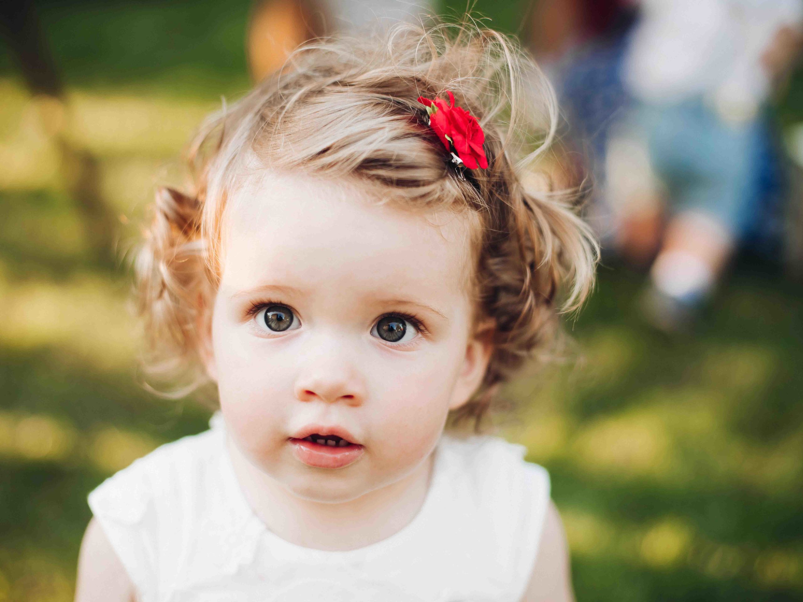 Featured image for “A cantar y bailar”