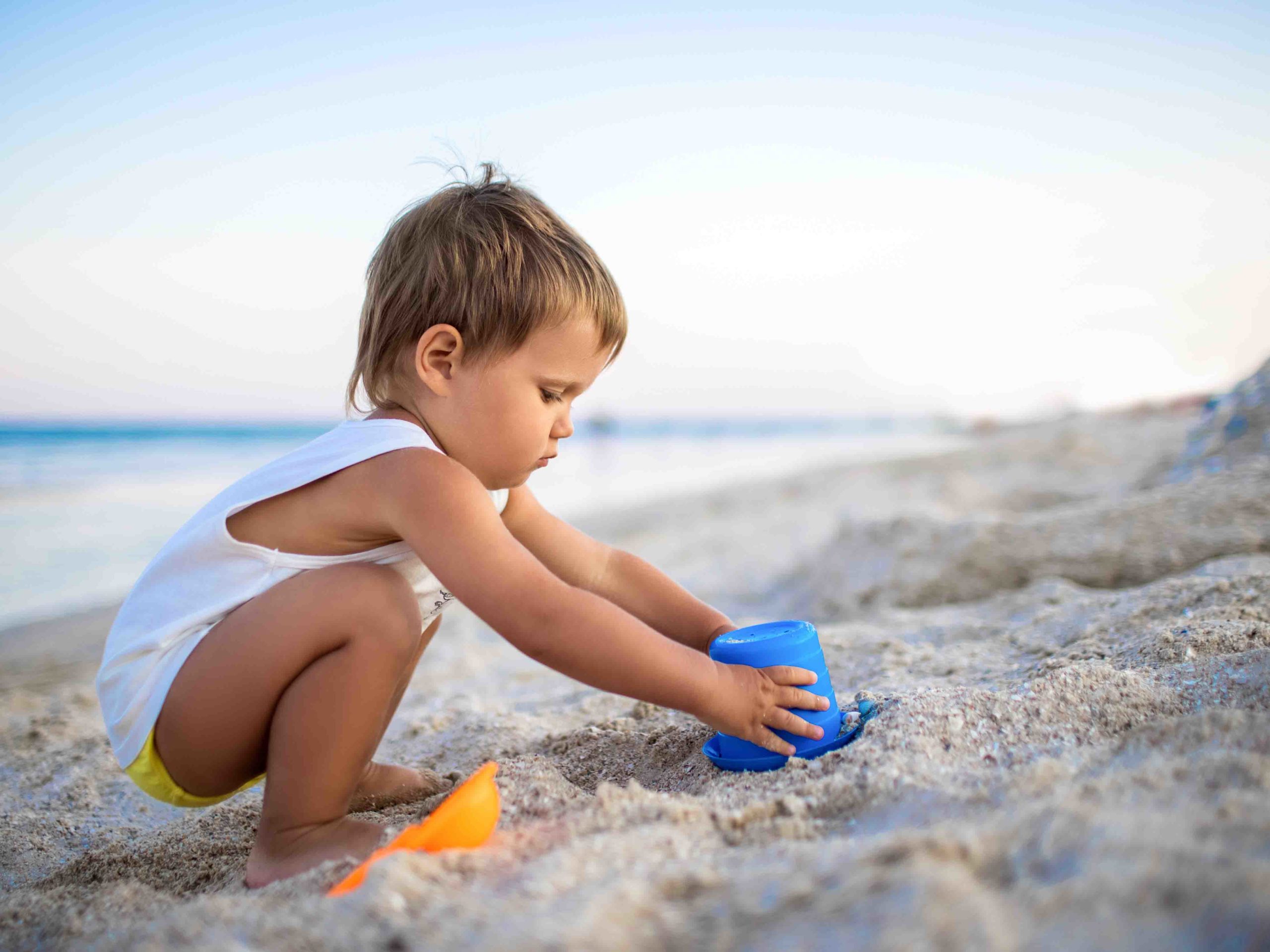 Featured image for “En búsqueda de tesoros”