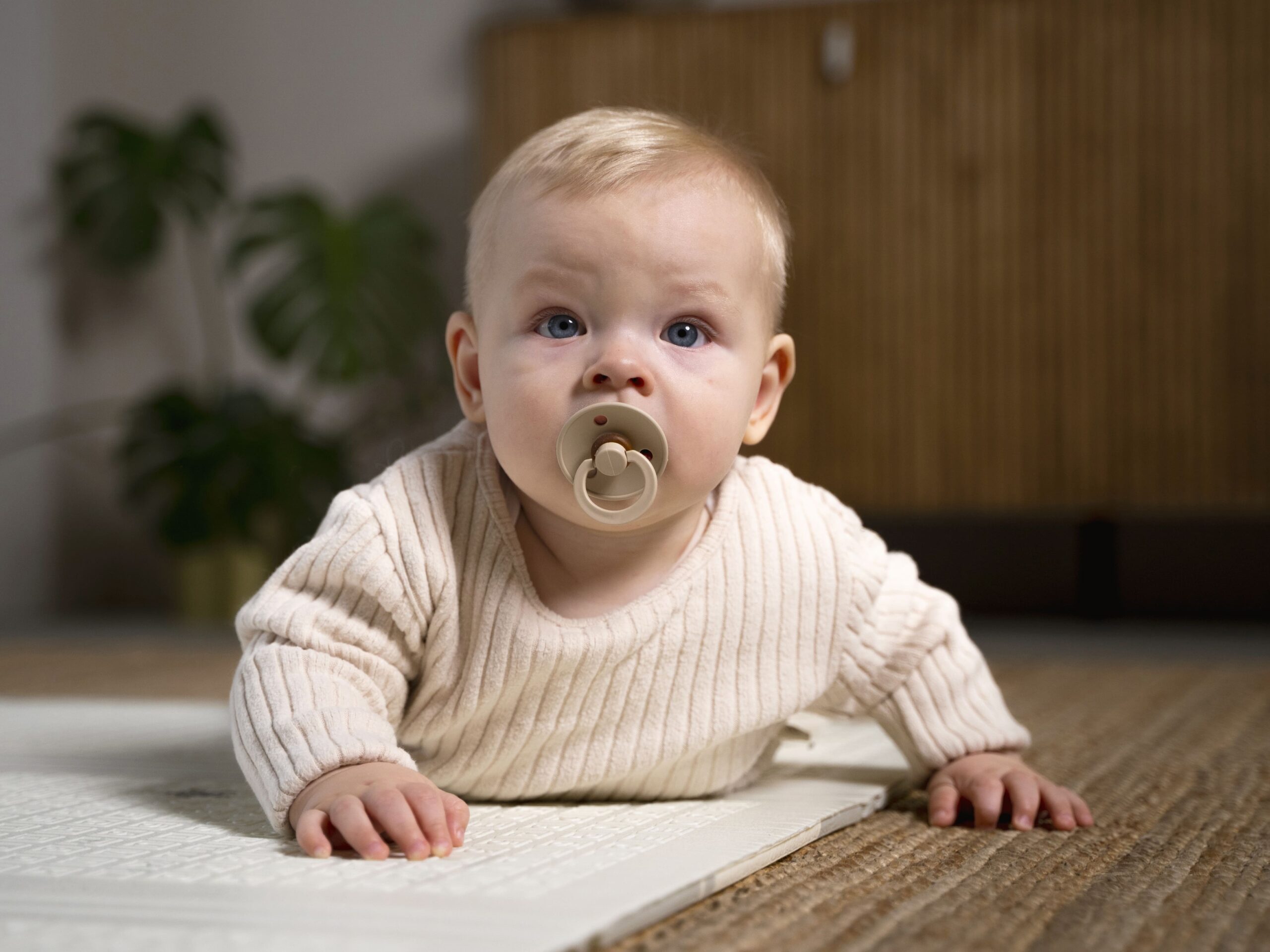 Featured image for “trazos y pinturas”